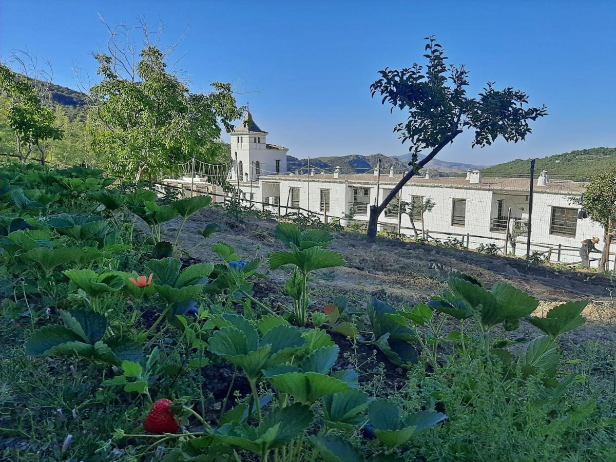 Busquístar Hotel Apartamento Nueva Alcazaba מראה חיצוני תמונה